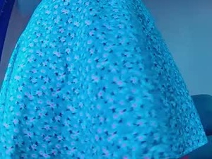 Screenshot from carrollnancy webcams