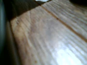 Screenshot from carter2135 webcams