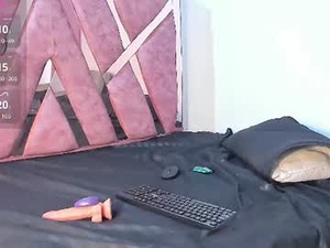 Screenshot from cataleyalux webcams