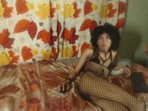 Screenshot from catty_gold webcams