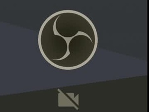 Screenshot from cd_susin webcams