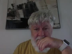 Screenshot from charklot webcams