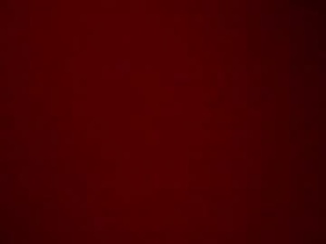 Screenshot from charlotte_skiinny webcams