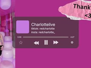 Screenshot from charlottelive webcams