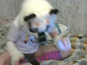 Screenshot from chaudoing webcams