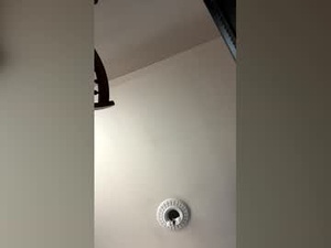 Screenshot from chico_amante_ webcams