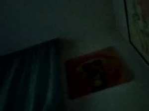 Screenshot from chicotequila42 webcams