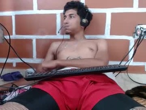 Screenshot from choconave23 webcams