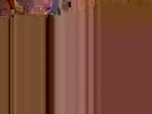 Screenshot from cjallison webcams