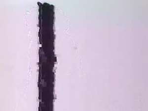 Screenshot from cocoalush9819 webcams