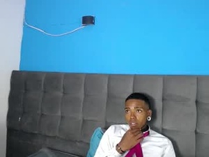 Screenshot from collemanstone webcams