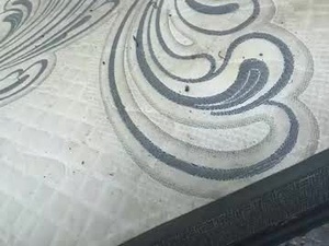 Screenshot from conball811 webcams