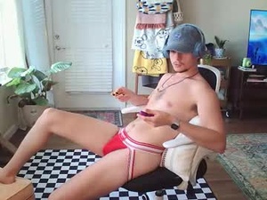 Screenshot from connertwunk webcams