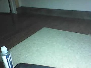 Screenshot from couple528819 webcams