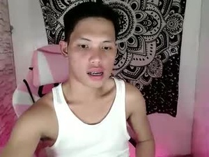 Screenshot from coxckydale webcams