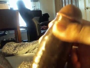 Screenshot from coyote_001 webcams