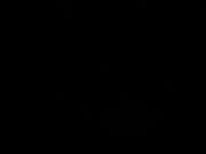 Screenshot from critterluvsfeet webcams