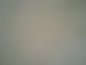 Screenshot from ctbddc webcams