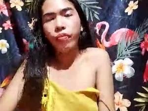 Screenshot from cumhill webcams