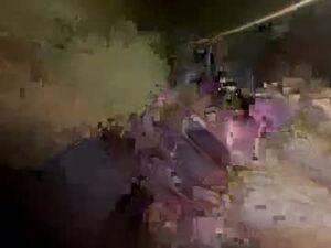Screenshot from curiousd1969 webcams