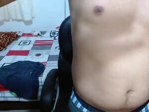 Screenshot from daddy_pixel webcams