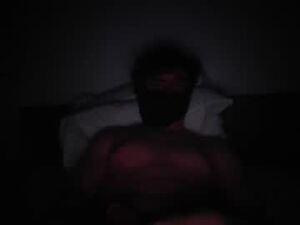 Screenshot from daddyl_e_s webcams