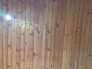 Screenshot from dafne_girl4u webcams