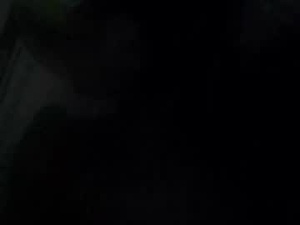 Screenshot from dagoer9eleven webcams