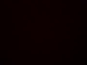 Screenshot from daltonfu webcams