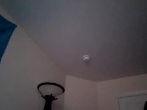 Screenshot from damndaniel779 webcams