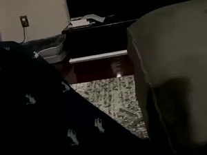 Screenshot from dannyboy621 webcams