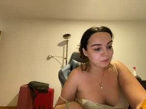 Screenshot from dansteelx webcams