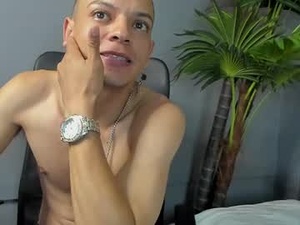 Screenshot from dante_alpha1 webcams