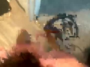 Screenshot from danthadolphin webcams