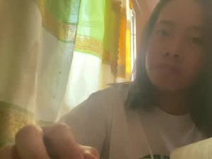 Screenshot from daphinepoirrier webcams