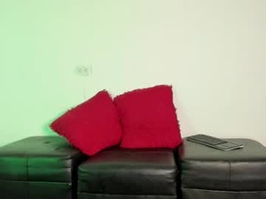 Screenshot from darkchannel webcams