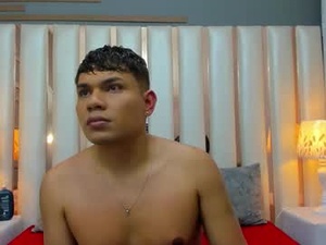 Screenshot from davejonesz webcams