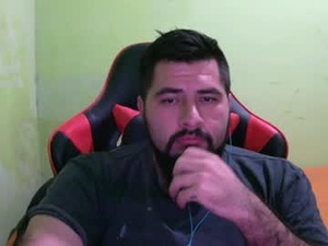 Screenshot from daviddelz webcams