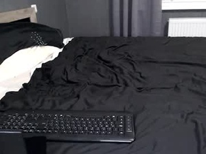 Screenshot from davidnoir webcams