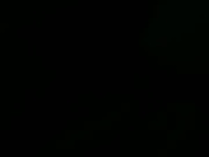 Screenshot from dennishungwell webcams