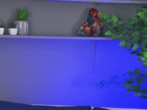 Screenshot from desimissy webcams
