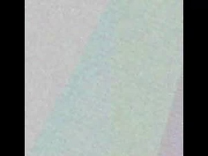 Screenshot from destinybankstsboo webcams