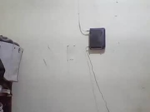 Screenshot from detlefmagadaline2021 webcams