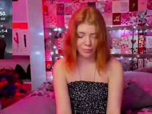 Screenshot from di_fox webcams