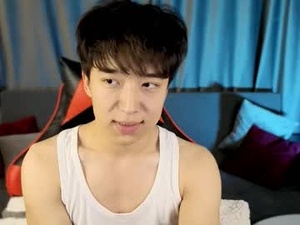 Screenshot from dianinav webcams