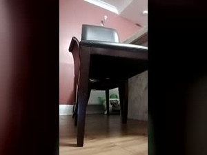 Screenshot from dickessex webcams