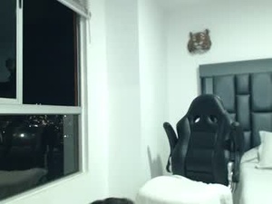 Screenshot from diehgoo_ortega webcams