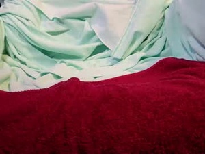 Screenshot from dizzyfaced webcams