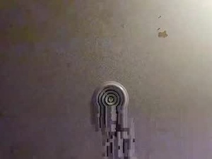 Screenshot from dmoneyz3 webcams