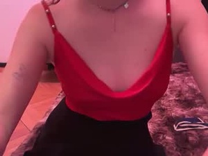 Screenshot from doganddeer webcams